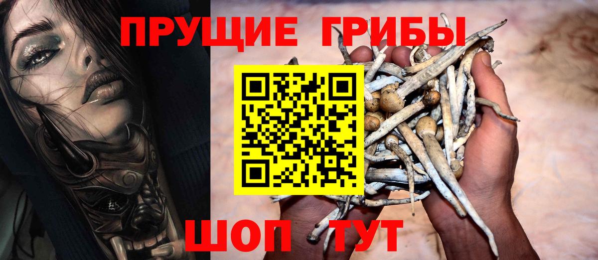 Галлюциногенные грибы GOLDEN TEACHER  Вход с VPN  Ковров  Псилоцибиновые грибы Cubensis 