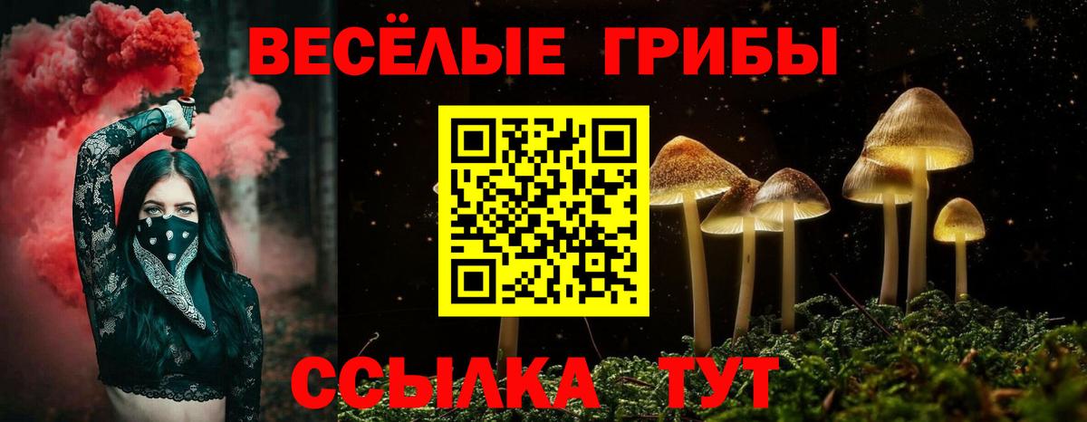Псилоцибиновые грибы GOLDEN TEACHER Ковров